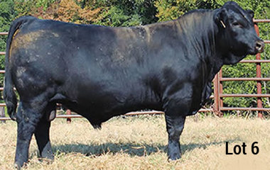 Lot 6 - TJB Vintage 543c ET